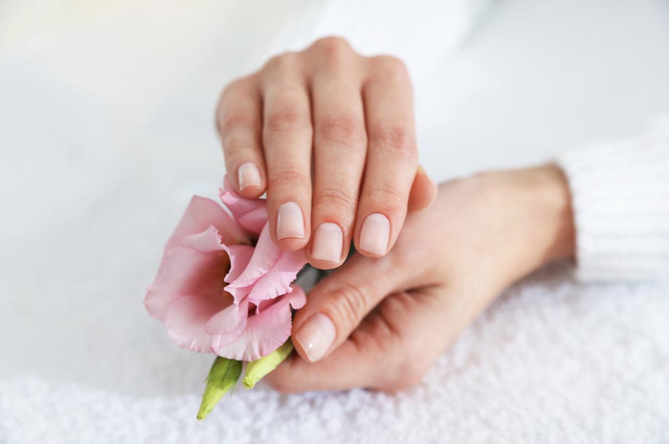Gros plan sur des mains aux ongles manucurés tenant une fleur rose dans un environnement de spa.